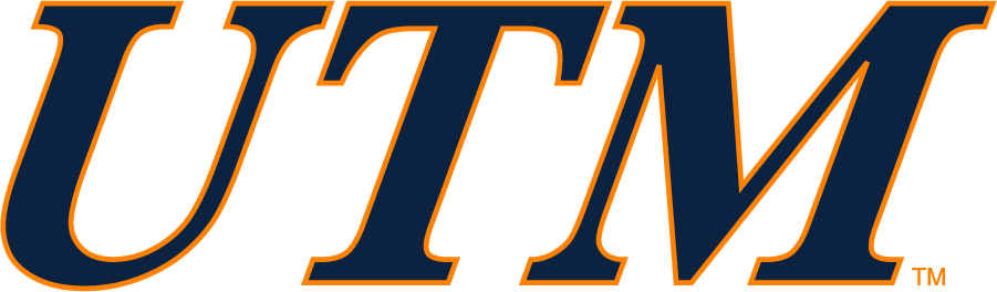 Tennessee-Martin Skyhawks 2007-2017 Wordmark Logo v2 DIY iron on transfer (heat transfer)